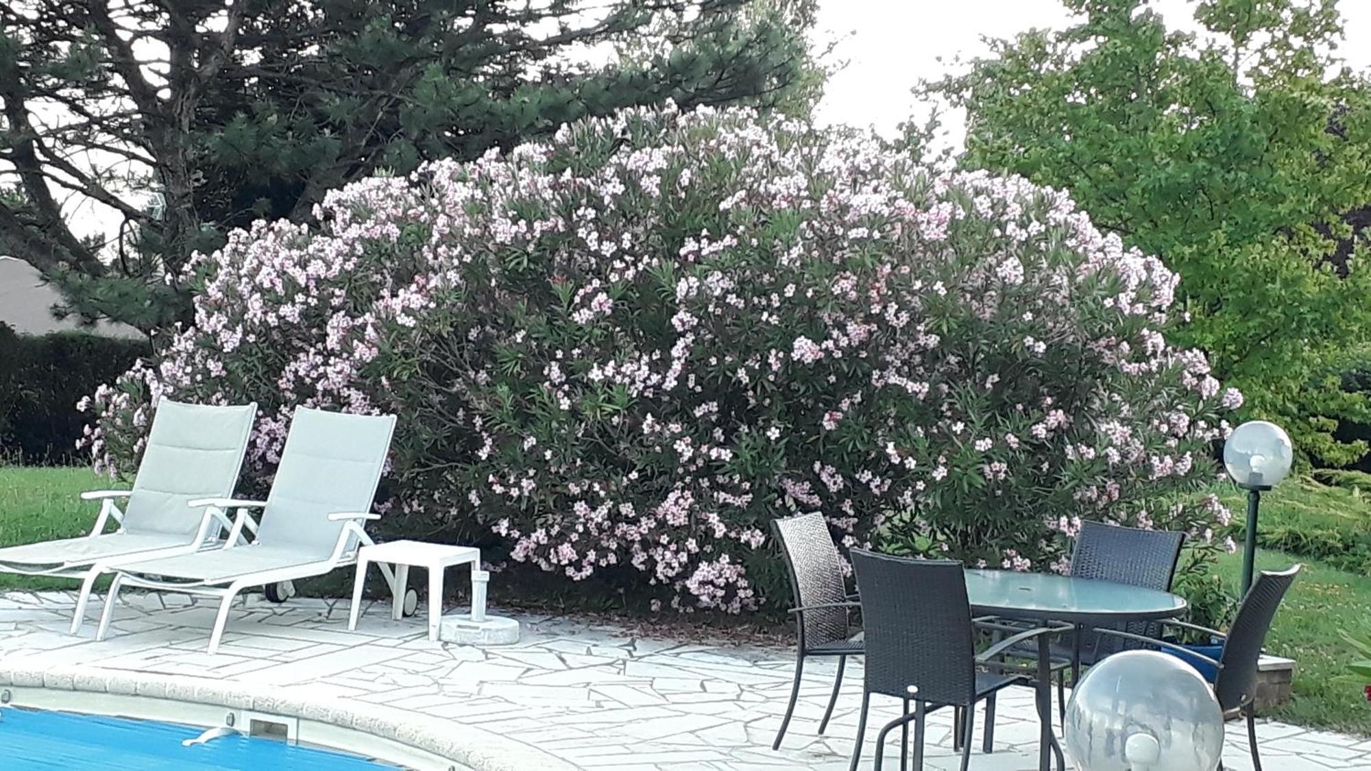 Villa Avec Vue Biviers Luaran gambar